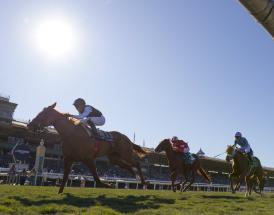 King George VI Chase Boxing Day