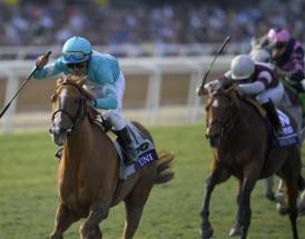 2020 Lanzarote Hurdle tips