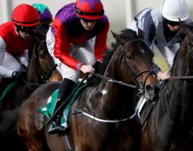 Midlands Grand National Tips