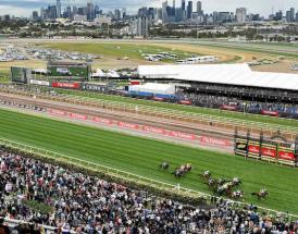 Tips - Australian Horse Racing