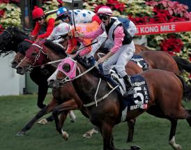 Best International horse racing countries