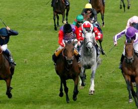 Betting Tips Epsom Derby