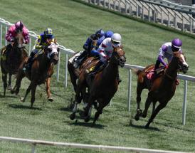 Horse Racing