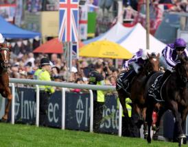 Epsom Derby Tips