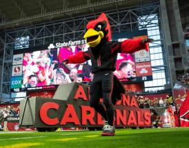 NFL mascots