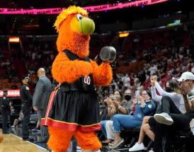 NBA Hawks 