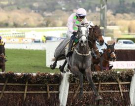 Lossiemouth is favourite for the 2025 Mares Hurdle