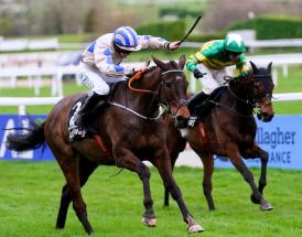 Tips and odds Champion Chase 2025