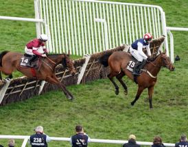 Albert Bartlett Novices Hurdle Tips