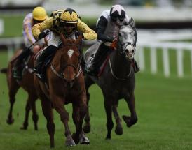 Cheltenham Festival Champion Hurdle Trends