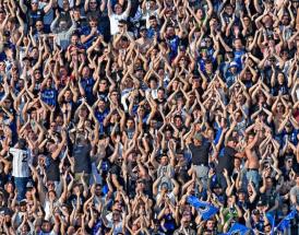 Famous fans and celebrity supporters