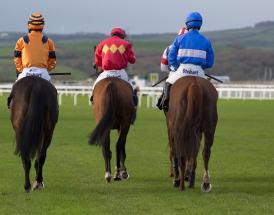 Jockey salary and riding fees in 2024