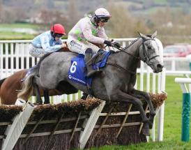 Mares Hurdle Trends