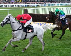 Turners Novices Chase Trends