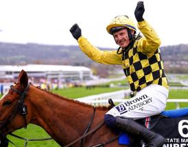 Cheltenham Winners