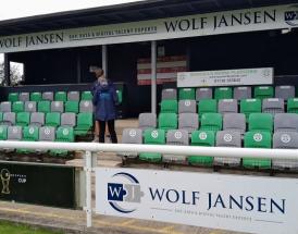 Mousehole Stadium