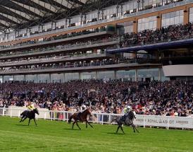 QEII Stakes
