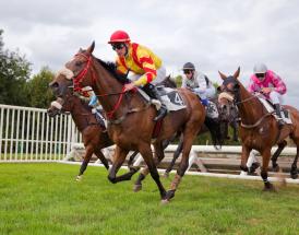 Jumps racing