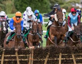 Jumps racing owners