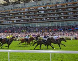 Horse Racing Meetings and Races in July 2025