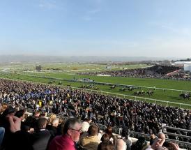 Willie Mullins 2026 Cheltenham Festival