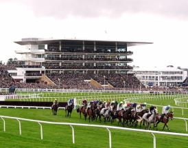 Cheltenham Festival Winners