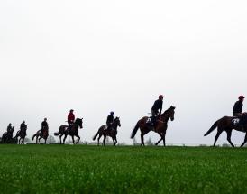 Cheltenham Tips Day 3