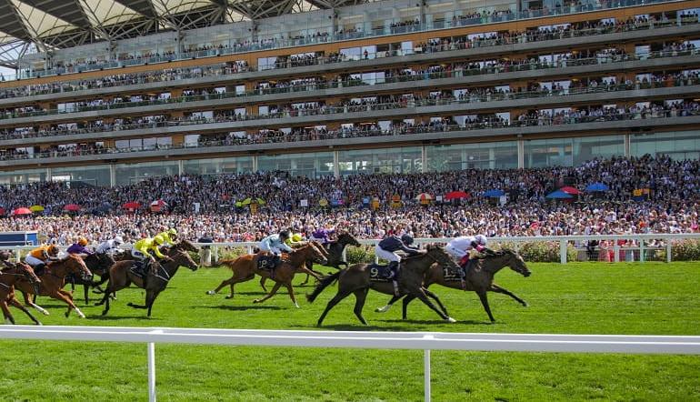 Horse Racing Meetings and Races in July 2025
