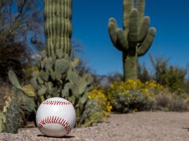 MLB national league odds