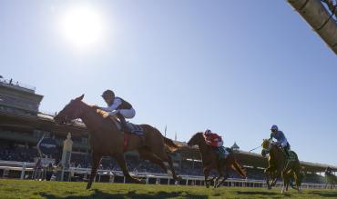 King George VI Chase Boxing Day