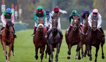 Horse Racing Betting Free Tips