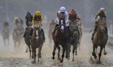 Horse Racing Betting Tips