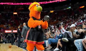 NBA Hawks 