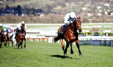 Cheltenham Festival ante post picks