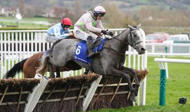Mares Hurdle Trends