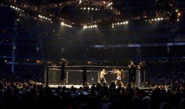 UFC Octagon ring